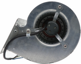 D2E097-BK66-48